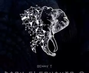Benny T - Dark Elephants (Original Mix)